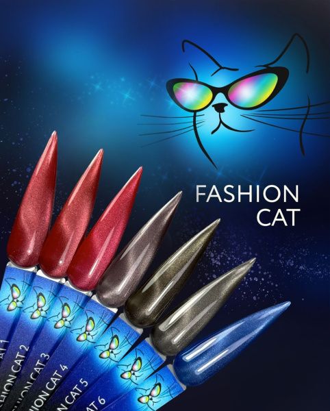 Fashion cat_1